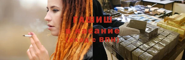 индика Вязники
