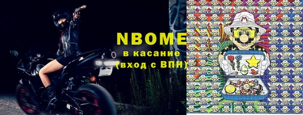 индика Вязники