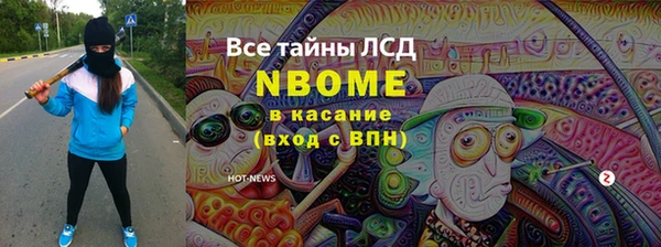индика Вязники
