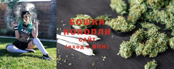 СК Белокуриха