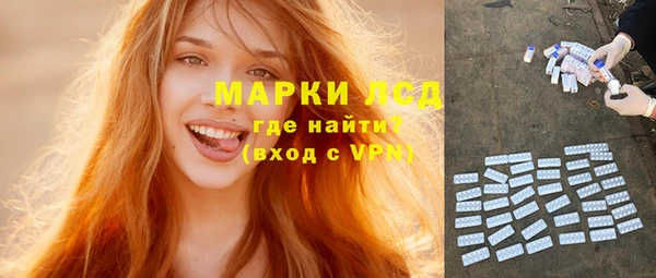 индика Вязники