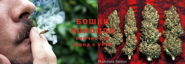 PSILOCYBIN Беломорск