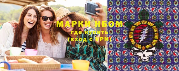 индика Вязники