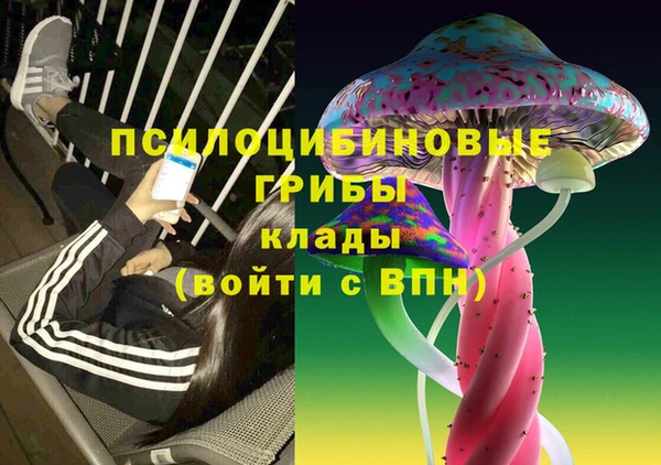 дживик Вяземский