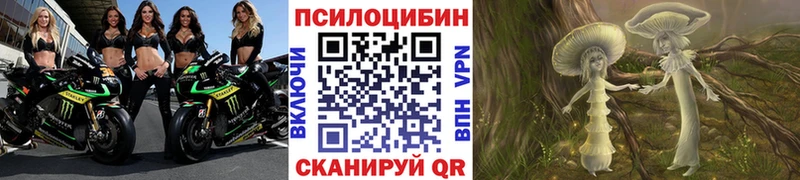 Псилоцибиновые грибы прущие грибы  KRAKEN ТОР  Богучар  закладки 